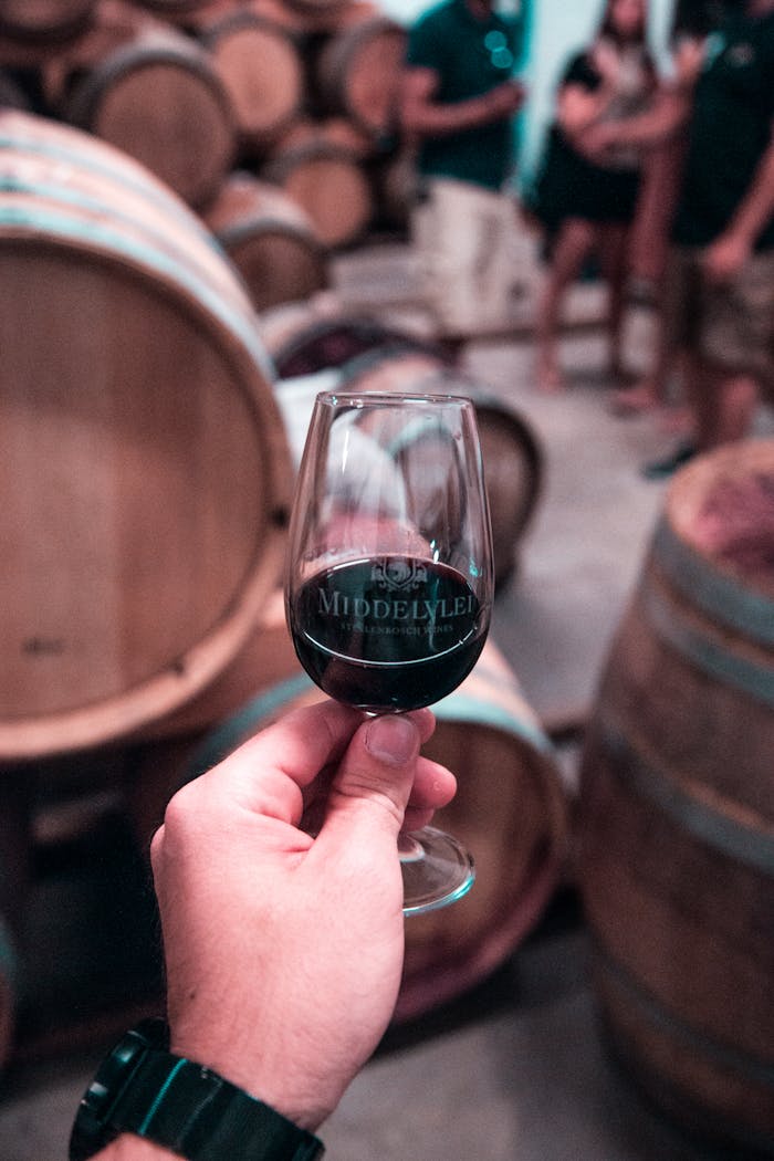 Close-up of a hand holding red wine glass in a Stellenbosch winery with oak barrels in the background.