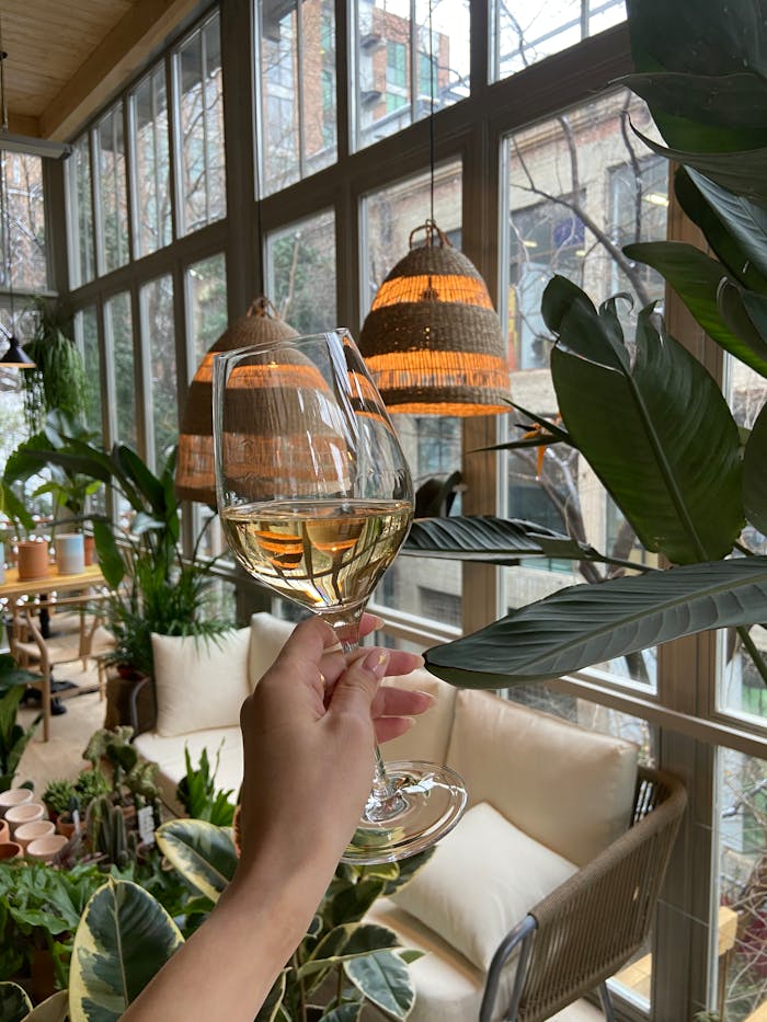 Unrecognizable female with wineglass of alcoholic drink standing bear window in cozy room with couch and potted flowers with green leaves